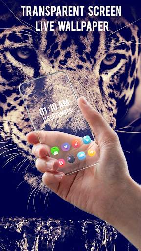 Transparent Screen & Live Wallpaper screenshot 2