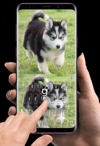 Siberian Husky Puppies Keyboard स्क्रीनशॉट 5