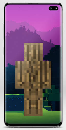Block Skin for Minecraft screenshot 3