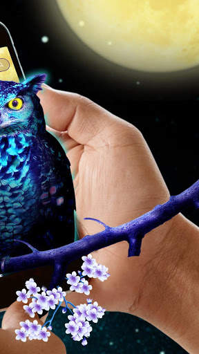 Blue Night Owl Theme screenshot 2