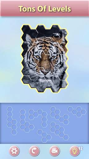 Hexa! Jigsaw - Block hexa puzzle game screenshot 4