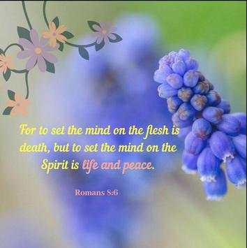 Daily Word Of God screenshot 2