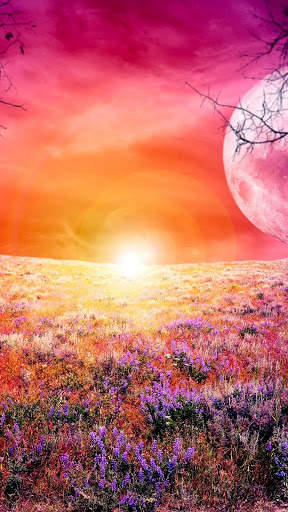 Beautiful Wallpaper 4K screenshot 15