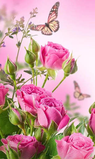 HD Rose Flowers Live Wallpaper screenshot 16