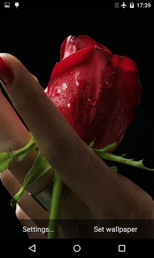 Girl And Rose Live Wallpaper screenshot 3