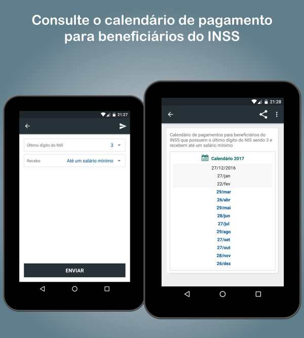 Consulta INSS Fácil - Extrato Previdência Social screenshot 6