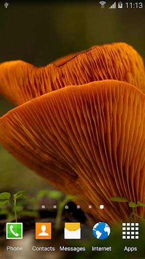 Mushrooms Live Wallpaper screenshot 4