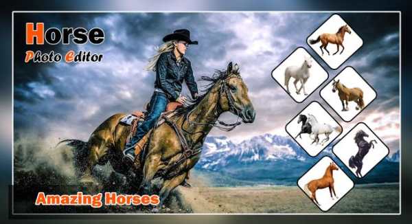 Horse Photo Editor screenshot 2