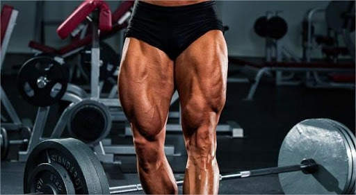 Legs Workouts screenshot 5