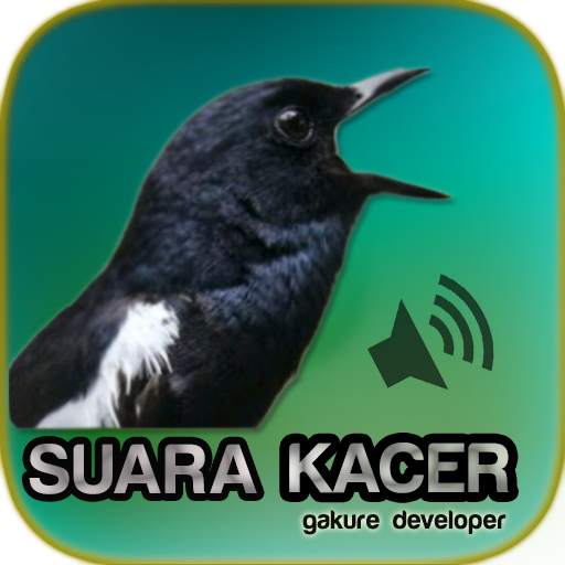 Kacer Gacor Masteran 1.0