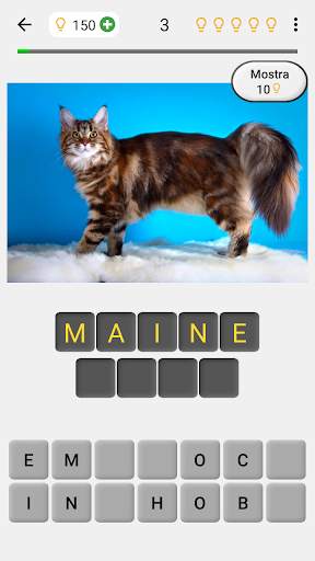 Gatti e gatte: Foto-quiz sulle razze popolari screenshot 1