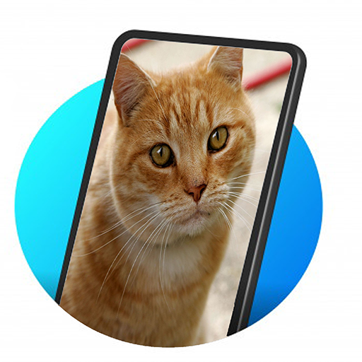 wallpaper cat hd icon