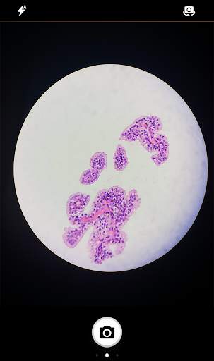 Telepathology Mobile Systems screenshot 3