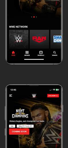 WWE screenshot 4