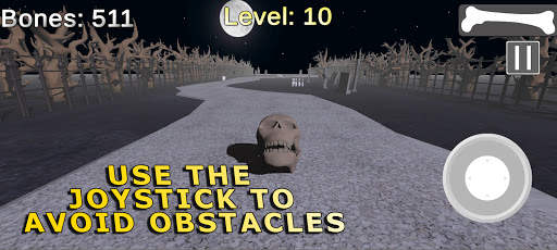 Skull Dash screenshot 1