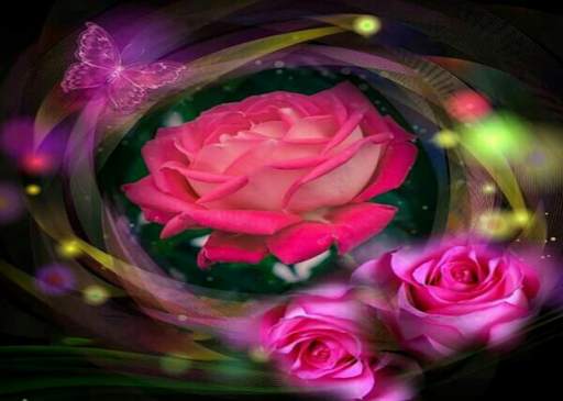 Wonderful Flowers Roses Animated images Gif 7 تصوير الشاشة