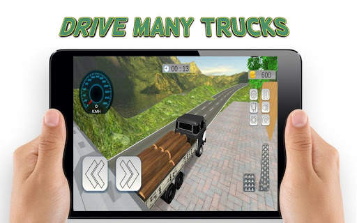 Extreme Truck Driving Simulator screenshot 5