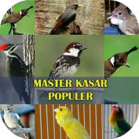 Master Burung Kasar Populer logo