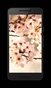 Sakura Live Video Wallpaper screenshot 1