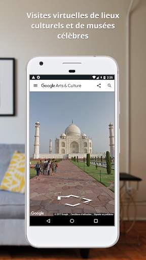 Google Arts & Culture screenshot 6