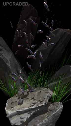 NANO AQUARIUM Free screenshot 15