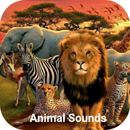 Animal Sounds icon