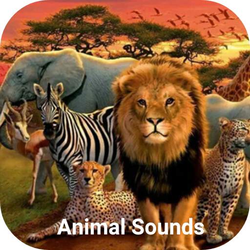 Animal Sounds screenshot 2