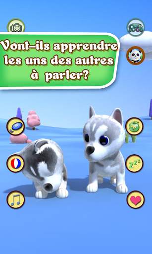 Parler chien Husky screenshot 3