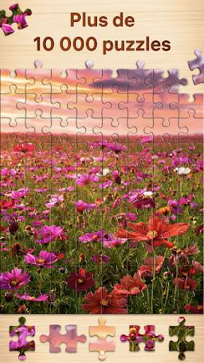 Puzzles - jeux de puzzle screenshot 2