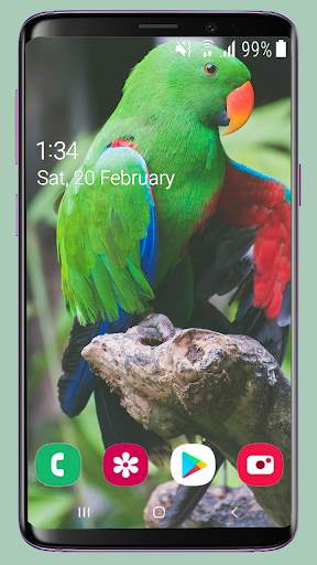 Bird Wallpaper New 4K screenshot 3