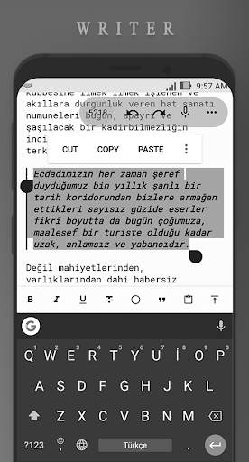 Writer screenshot 3