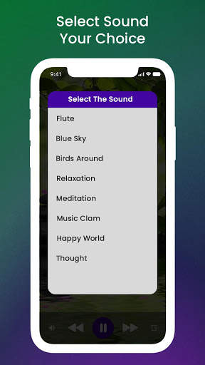 Natural Sound Offline screenshot 4