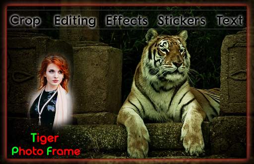 Tiger Photo Frames screenshot 2