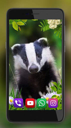 Forest Animals Live Wallpaper screenshot 7