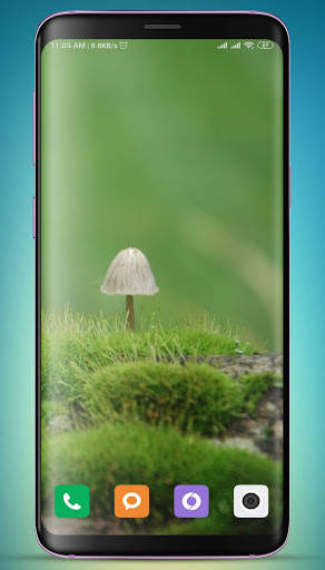 Plants Wallpaper HD screenshot 10