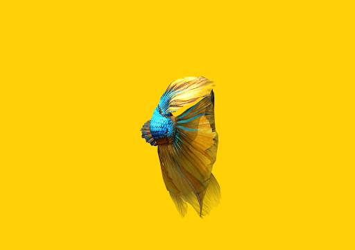 Betta Fish 3D Lite screenshot 18
