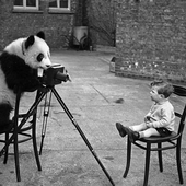 Funny Photographer Puzzles icon