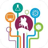 Megapolis icon