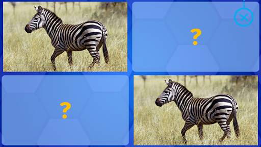Animals for Kids - Flashcards, Puzzles & Sounds screenshot 8
