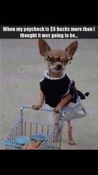 funny picture screenshot 2