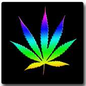 Multicolor Marijuana LWP icon