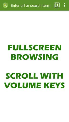 Tiny Browser Pro screenshot 2