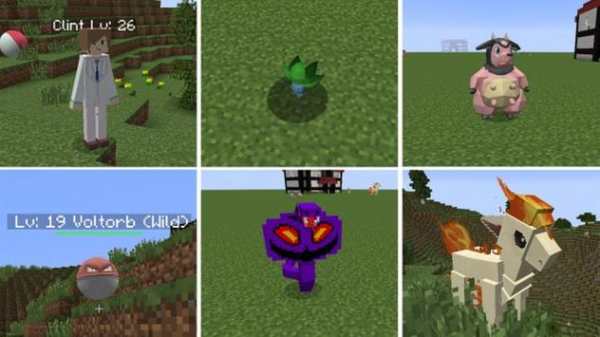 Pixelmon Minecraft Ideas screenshot 3