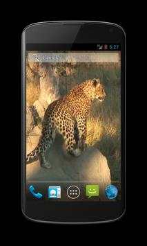 Leopard Free Video Wallpaper screenshot 3