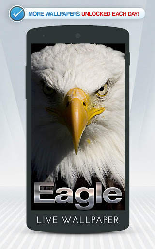 Eagle Live Wallpaper screenshot 1