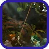 Tips for Play Indiana Jones icon
