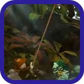 Tips for Play Indiana Jones 1.0