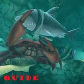 Guide Hungry Shark Evolution 1.0
