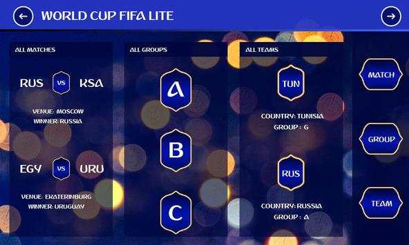 World Cup FIFA Lite screenshot 1
