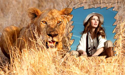 Lion Photo Frames screenshot 7
